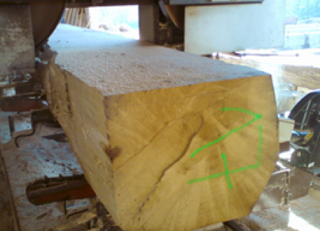 Razrez in sušenje lesa